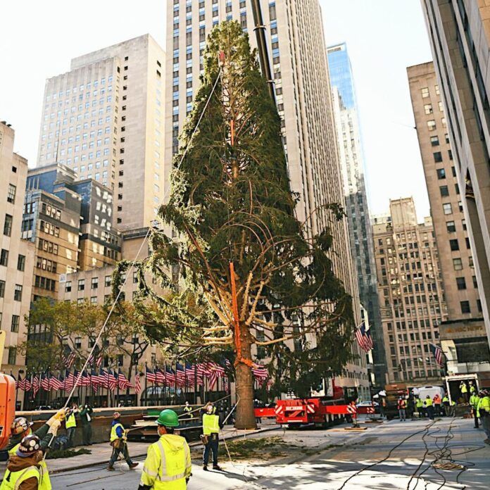 Sin alegría navideña el árbol del Rockefeller Center