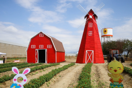 El Easter Egg Hunt 2025 llega a Tierra Tropical